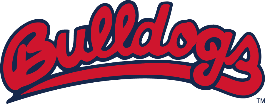 Fresno State Bulldogs 2020-Pres Wordmark Logo v2 diy iron on heat transfer